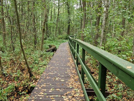 Prognoza pogody w Otwocku – nadchodzące dni przyniosą zmiany!