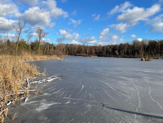 Przewidywana pogoda w Otwocku – zimne dni w weekend Przewidywana pogoda w Otwocku – zimne dni w weekend