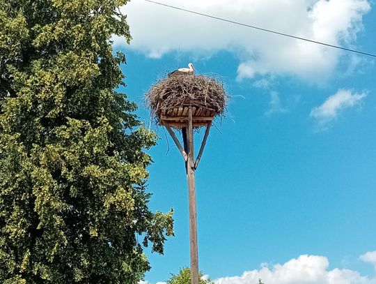 Przyjemne warunki pogodowe w Otwocku - co czeka nas w połowie czerwca?