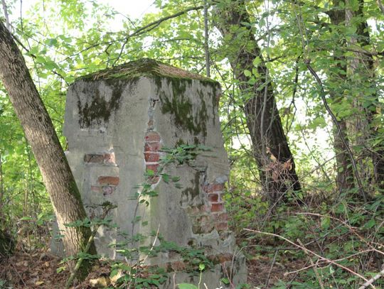 Rekonstrukcja kapliczki - bez was się nie uda! Rekonstrukcja kapliczki - bez was się nie uda!