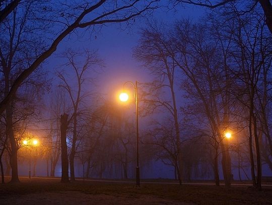 Sprawcy narazili własne życie, aby dokonać serii aktów wandalizmu