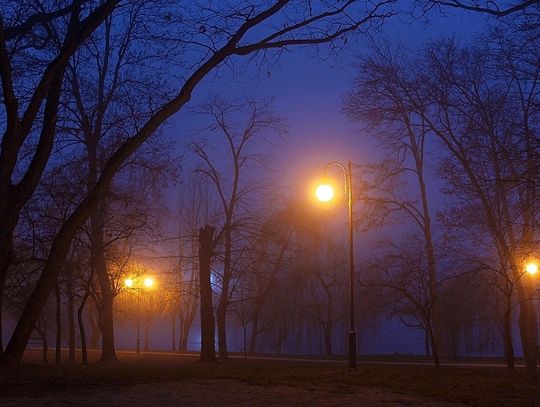 Seria aktów wandalizmu na ulicach Celestynowa