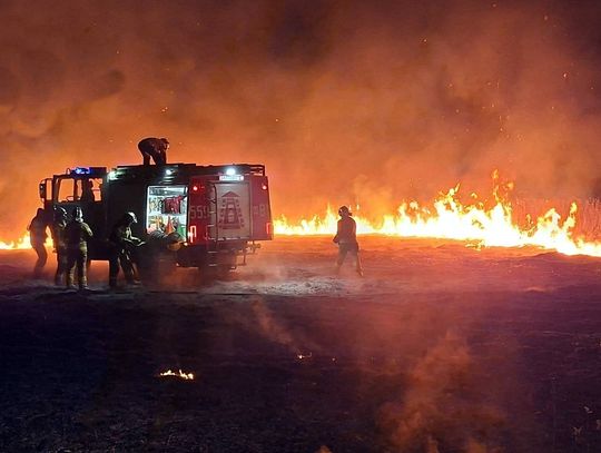 Seria pożarów traw w powiecie otwockim. Gdzie pali się najczęściej? Seria pożarów traw w powiecie otwockim. Gdzie pali się najczęściej?