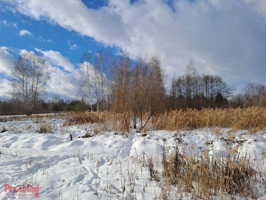 Śnieg i chłód w Otwocku – prognoza na najbliższe dni Śnieg i chłód w Otwocku – prognoza na najbliższe dni