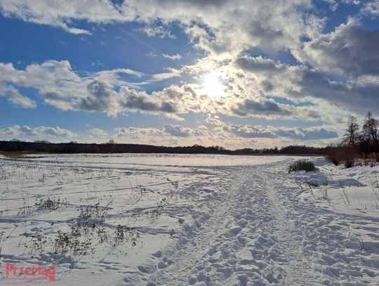 Śnieg i mrozy w Otwocku — prognoza na najbliższy weekend
