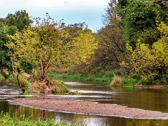 Spacer fotograficzny nad Świdrem. Gdzie i kiedy?