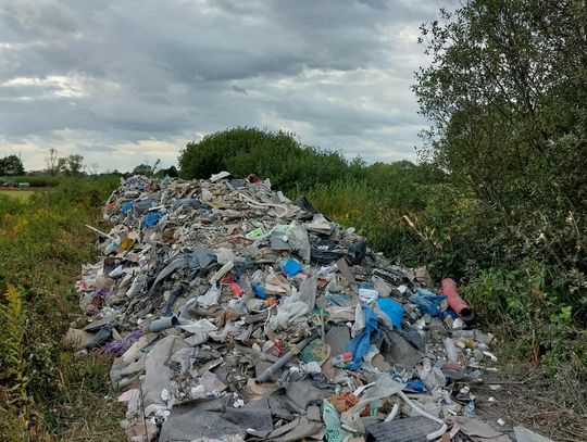Sprawcy skazani, a śmieci dalej leżą