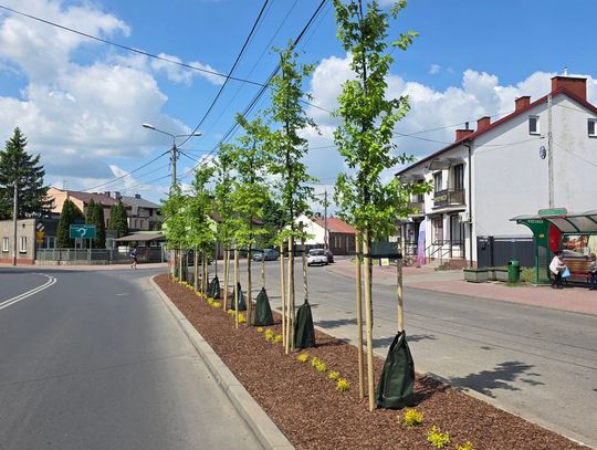 „Stop betonozie” przynosi efekty