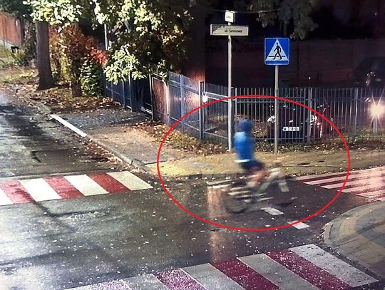 Strzelał do dzików w centrum miasta