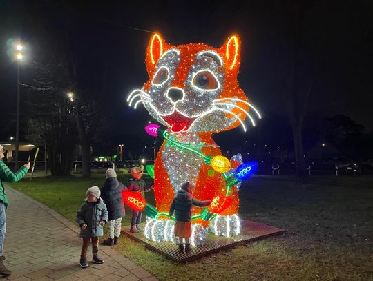 Świecący kot i pies w centrum Józefowa Świecący kot i pies w centrum Józefowa