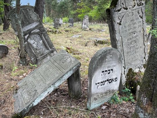 Tak wygląda zapomniany kirkut koło Otwocka. Macewy kryją poruszające historie [FOTO]