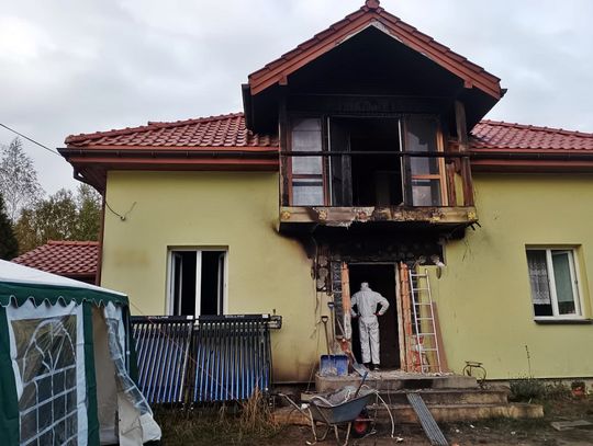 W pożarze rodzina straciła dom i ukochane psy. Jak im pomóc?