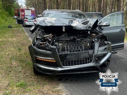 Uderzyłem w dzika. Kto za to zapłaci?