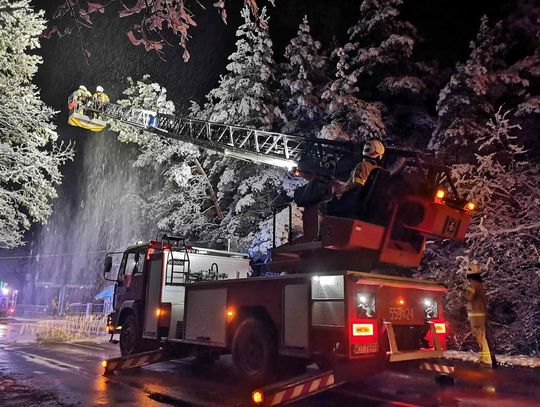 Strażacy usuwali skutki opadów śniegu. Czy miasto jest gotowe na zimę? [FOTO]