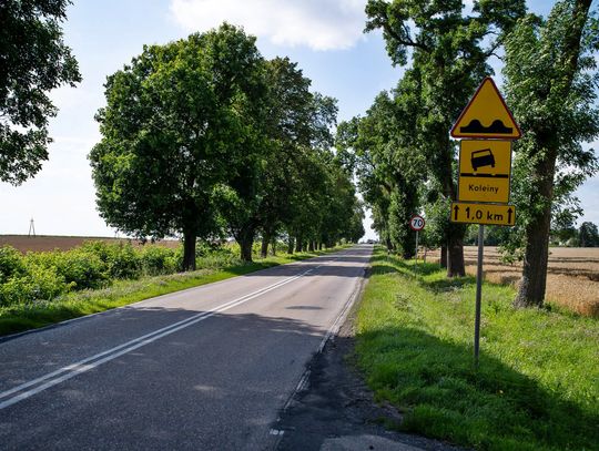 Utrudnienia na trasie Warszawa-Puławy. Drogowcy zaczynają kolejny remont na 801. Kiedy?