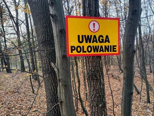 Uwaga polowanie! Na celowniku nie tylko dziki. W tych dniach lepiej nie wybierać się do lasu Uwaga polowanie! Na celowniku nie tylko dziki. W tych dniach lepiej nie wybierać się do lasu