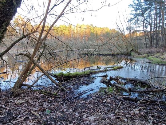 W Otwocku nadchodzą chłodne dni – prognoza pogody na początek grudnia