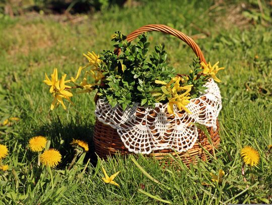 Wielkanoc 2026. Co włożyć do koszyczka i jak zrobić pisanki?