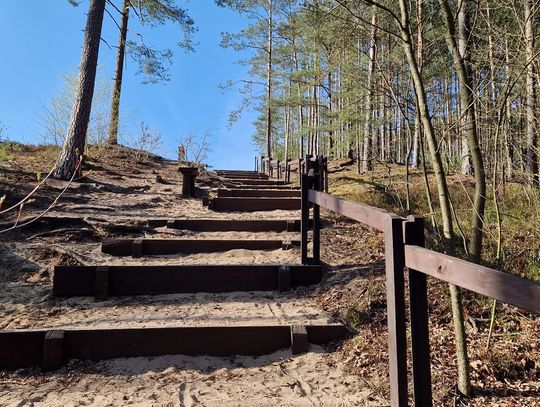Wielkanoc na świeżym powietrzu. Gdzie wybrać się na spacer w Otwocku i okolicach [FOTO]