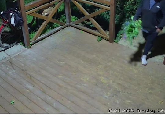 Z miejskich rabatek do prywatnego ogródka? Kradzież kwiatów przed Willą Balbinów
