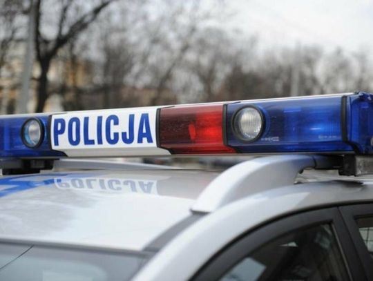 Zaginęły podczas spaceru. Finał poszukiwań seniorki i dziewczynki