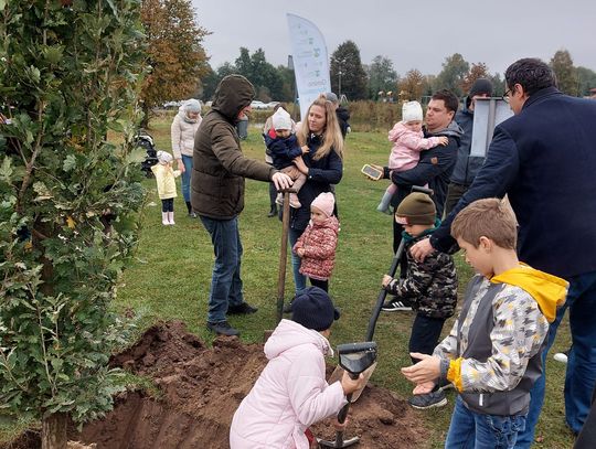 Zapuścili korzenie. Nowonarodzeni mają swoje drzewo w Karczewie