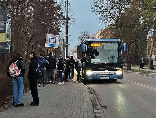 Zmiany w rozkładzie jazdy autobusów. Uruchomiono także nową linię