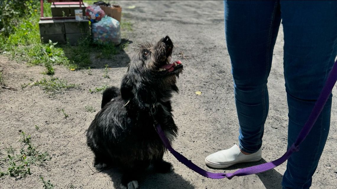 Celestynów. Kto pokocha Żużla?