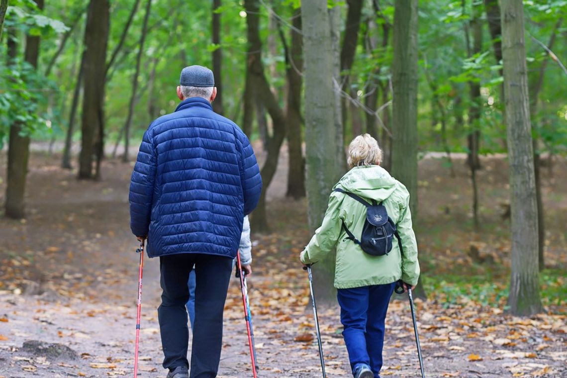 Co z Radą Seniorów w Celestynowie?