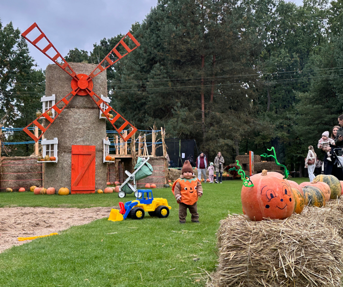 Czwarta edycja Dyniowego Pola w Mercure Wiązowna Brant! Czwarta edycja Dyniowego Pola w Mercure Wiązowna Brant!