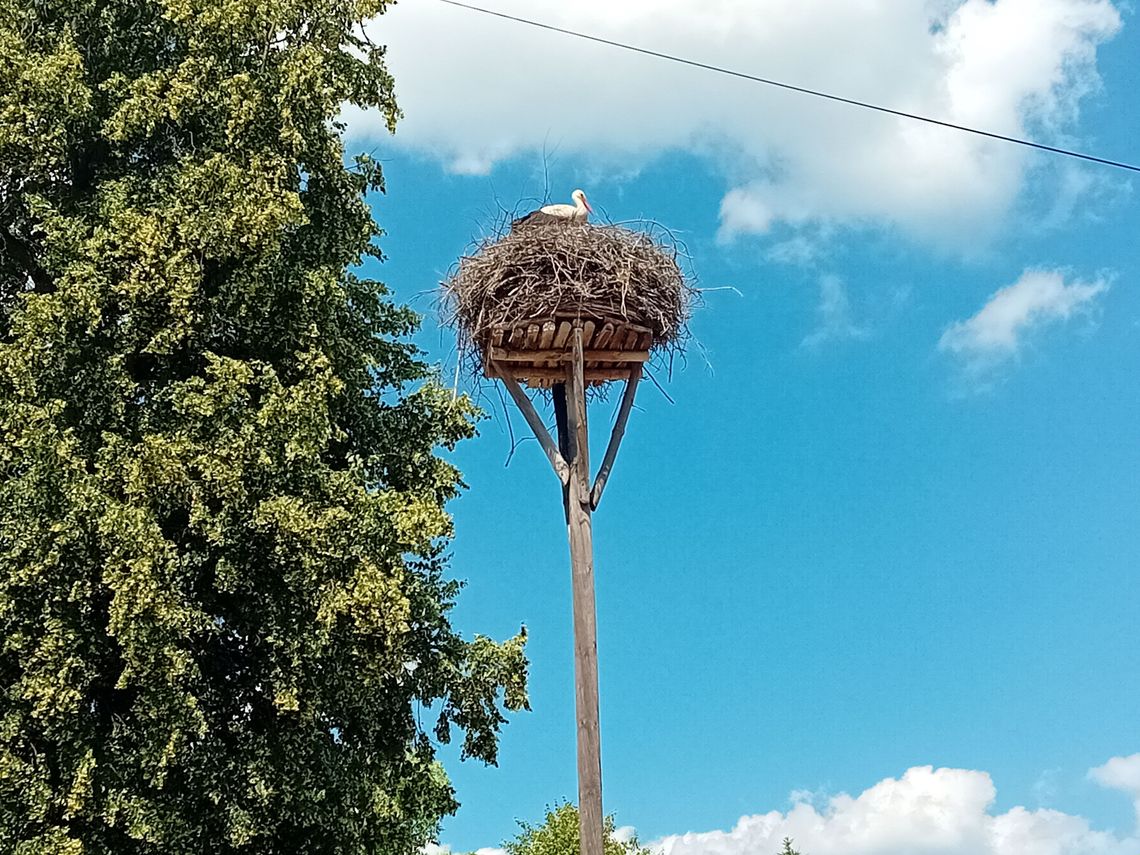 Deszczowe dni w Otwocku - prognoza na nadchodzący weekend