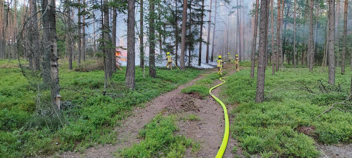 Długi weekend nie dla wszystkich był spokojny