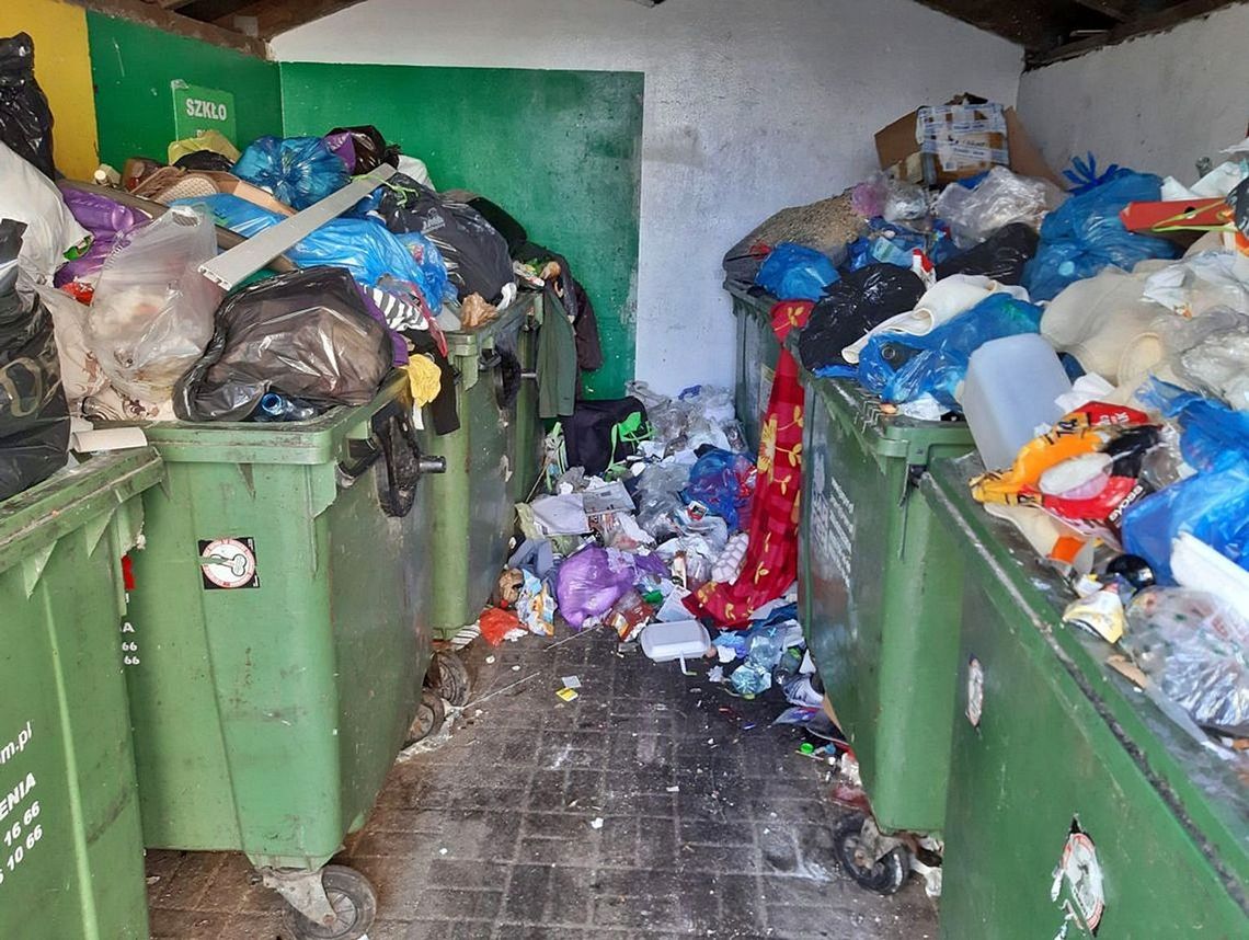 Dwie gminy z powiatu otwockiego wśród liderów recyklingu