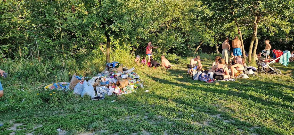 Dzikie brzegi, dziki relaks. Plażowanie nad rzeką Świder i jeziorem Rokola