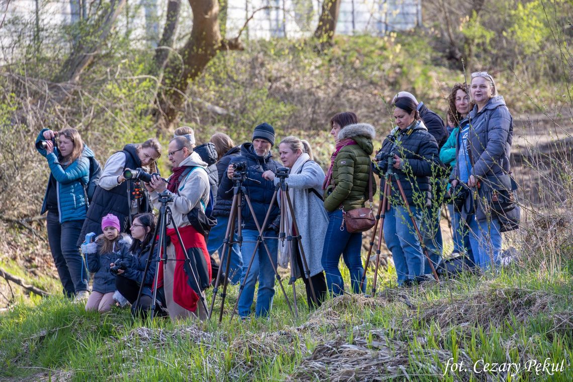 Fotograficzny spacer wśród nadświdrzańskiej przyrody [FOTO]