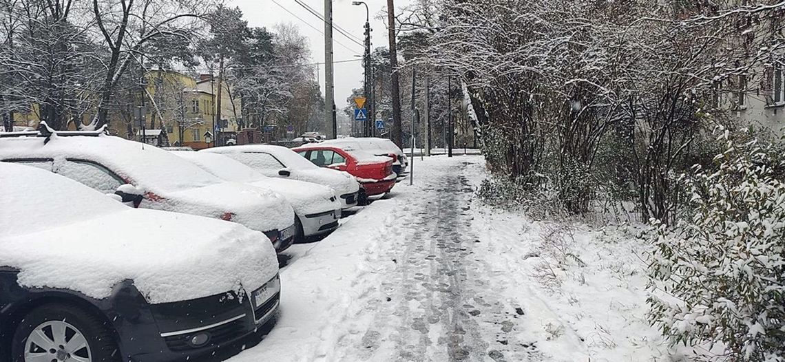 Ile zapłacisz za nieodśnieżone auto?