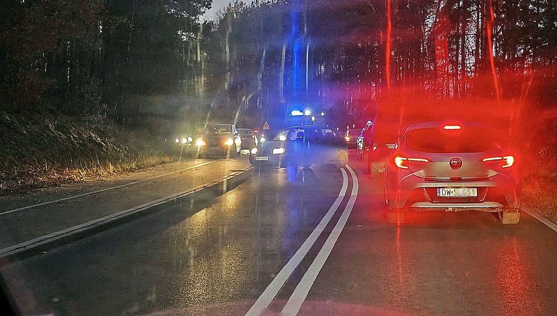 Interwencja służb na drodze do Celestynowa