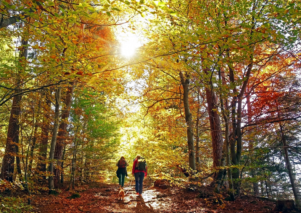 Jesienny spacer i szkolenie dla mieszkańców Wawra