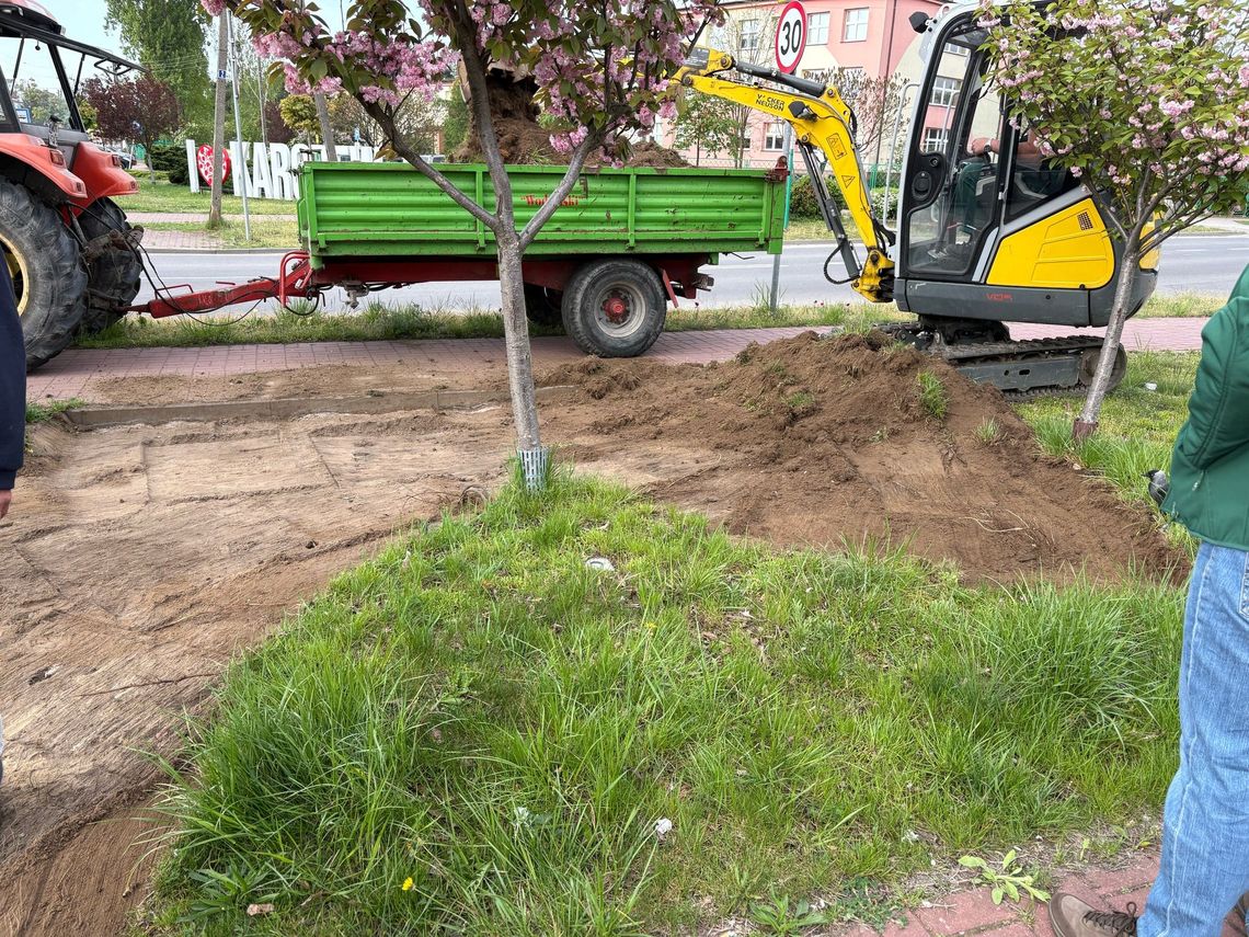 Karczew się zazielenia
