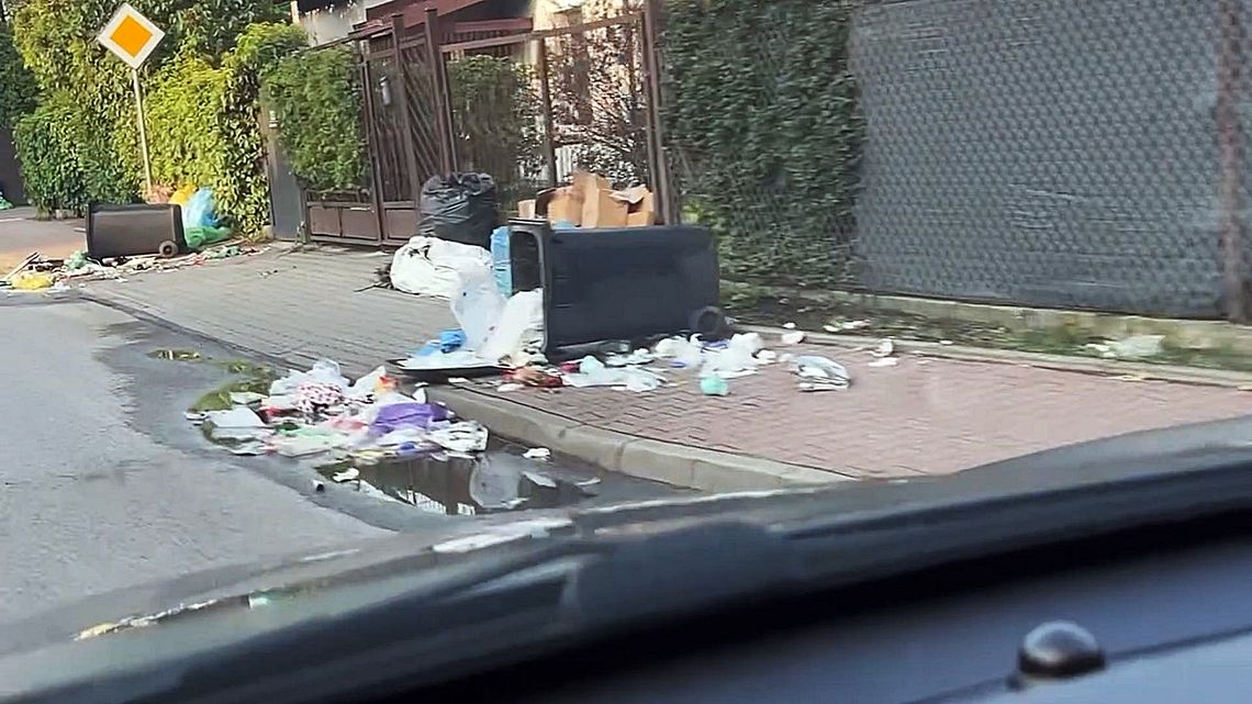 Kulinarny najazd dzikich gości