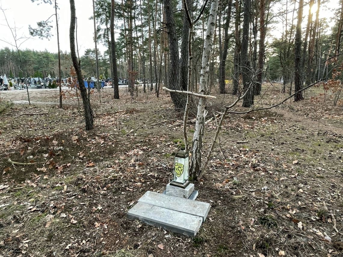 Masowe groby w Otwocku? Rozpoczęto pierwsze badania na cmentarzu