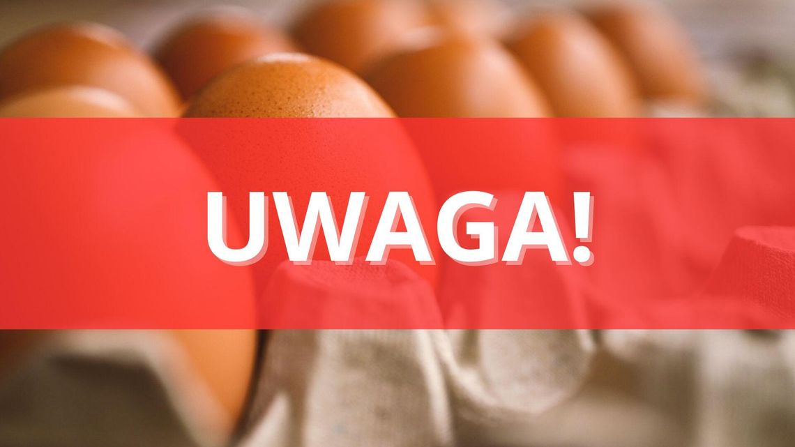 Nie jedz tych jajek! Sanepid ostrzega przed groźnymi bakteriami Nie jedz tych jajek! Sanepid ostrzega przed groźnymi bakteriami