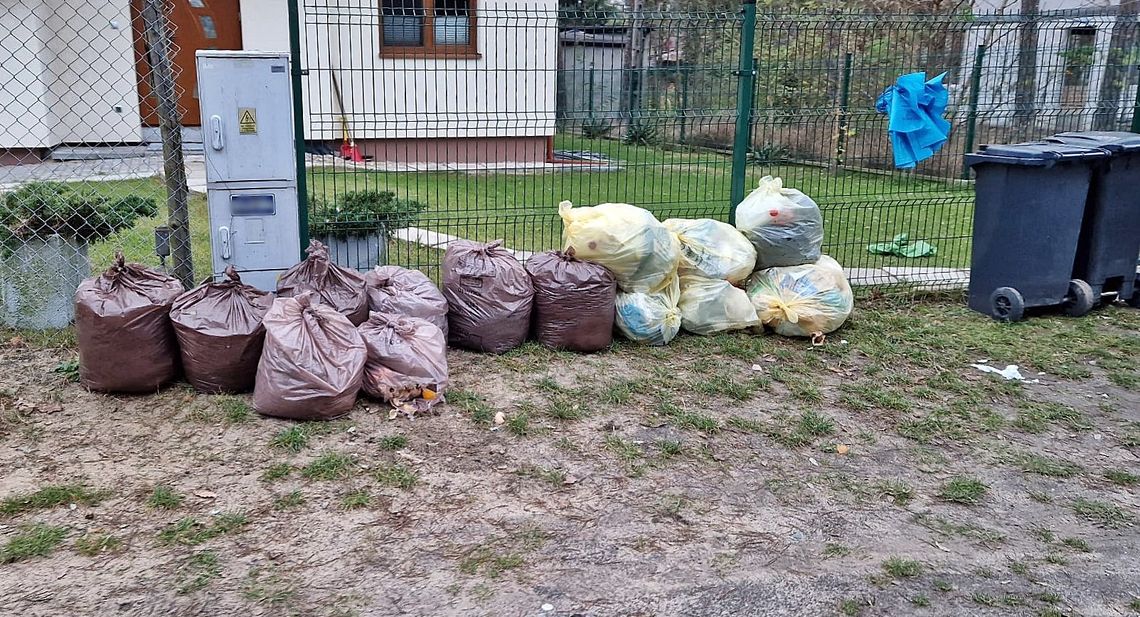 Kto będzie odbierał śmieci od mieszkańców w Wiązownie? Ankieta dla kompostujących biodpady