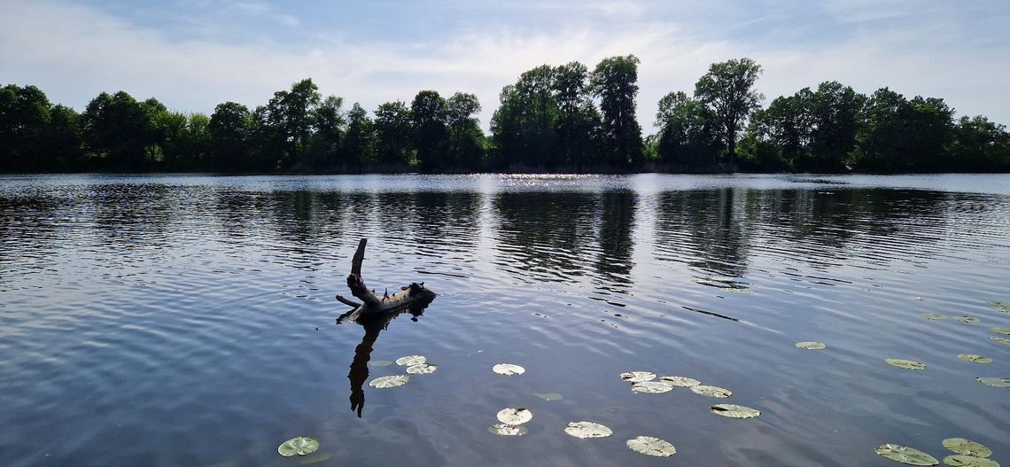 Otwock w deszczu i ociepleniu - prognoza na weekend!