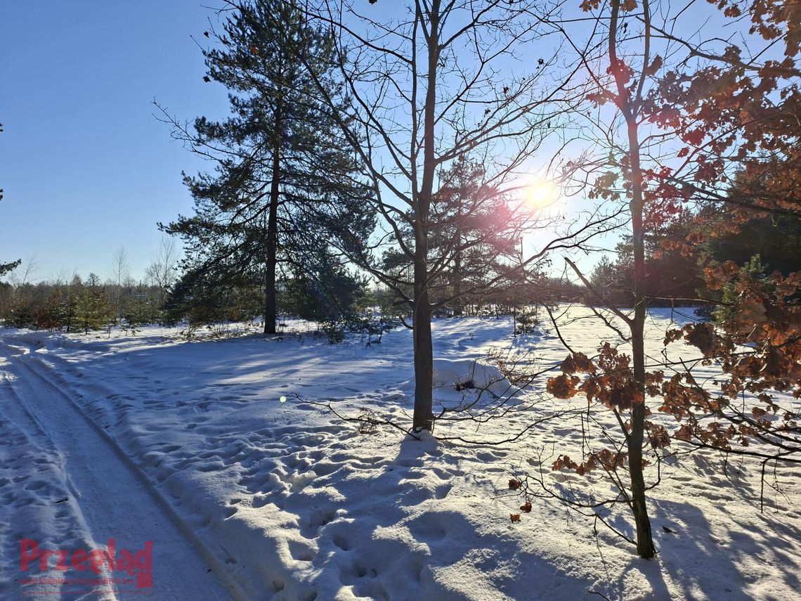 Otwock w zimowej aurze – prognoza na weekend! Otwock w zimowej aurze – prognoza na weekend!