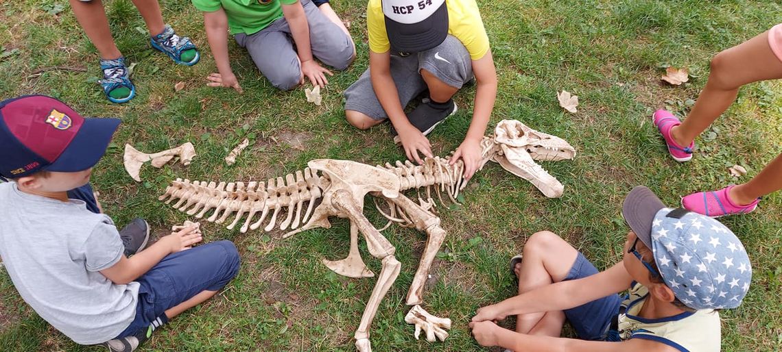 Piknik Naukowy. Paleontologia dla dzieci, egzotyczne zwierzęta i tajemnice kosmosu