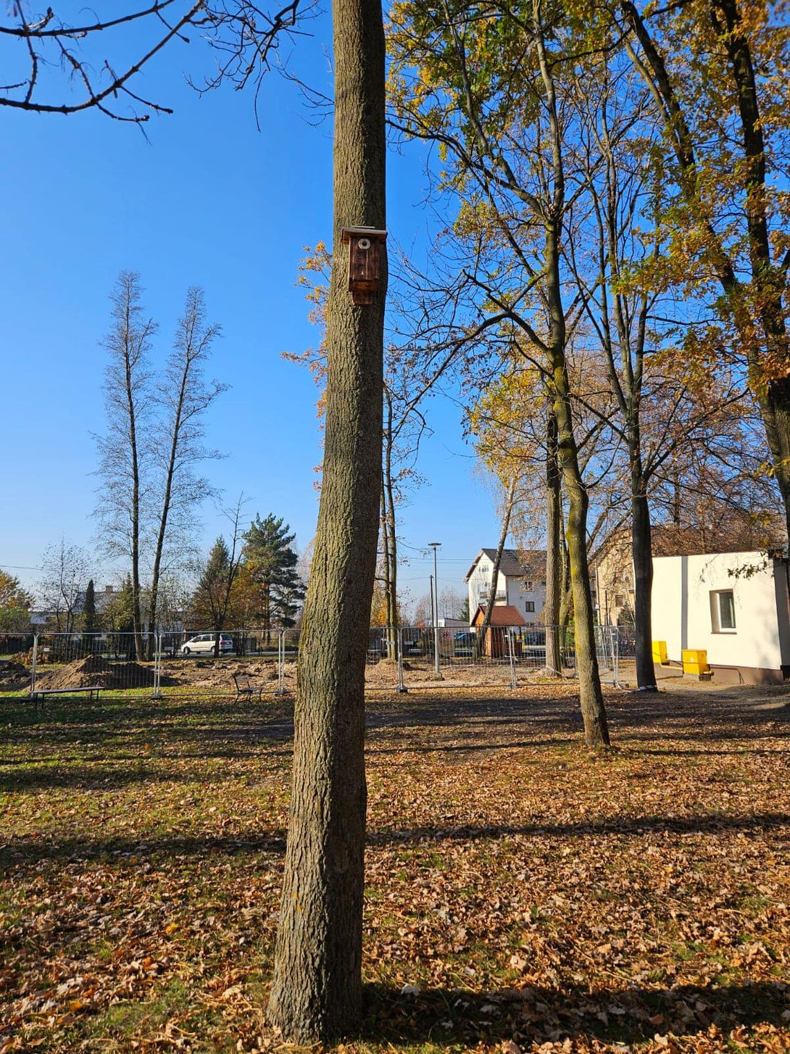 Prezent dla osieckich ptaków