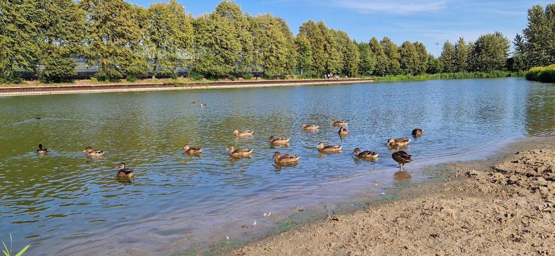 Prognoza pogody dla Otwocka: ciepłe dni, ale deszcz w drodze!