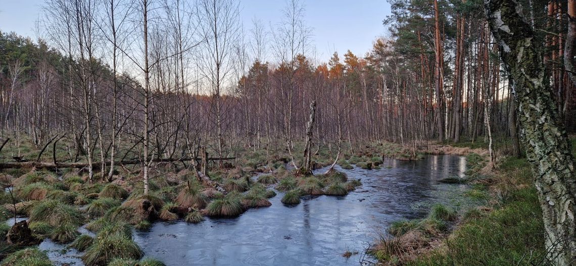 Prognoza pogody dla Otwocka – nadchodzące dni przyniosą chmury i przelotny deszcz