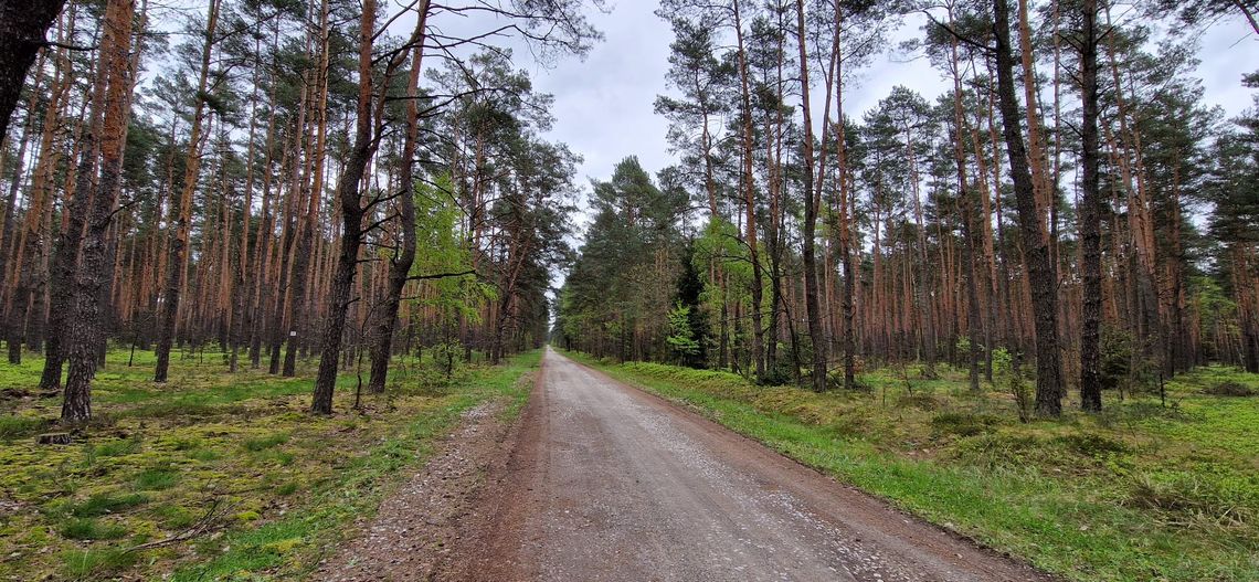 Prognoza pogody w Otwocku - ciepło i częściowe zachmurzenie